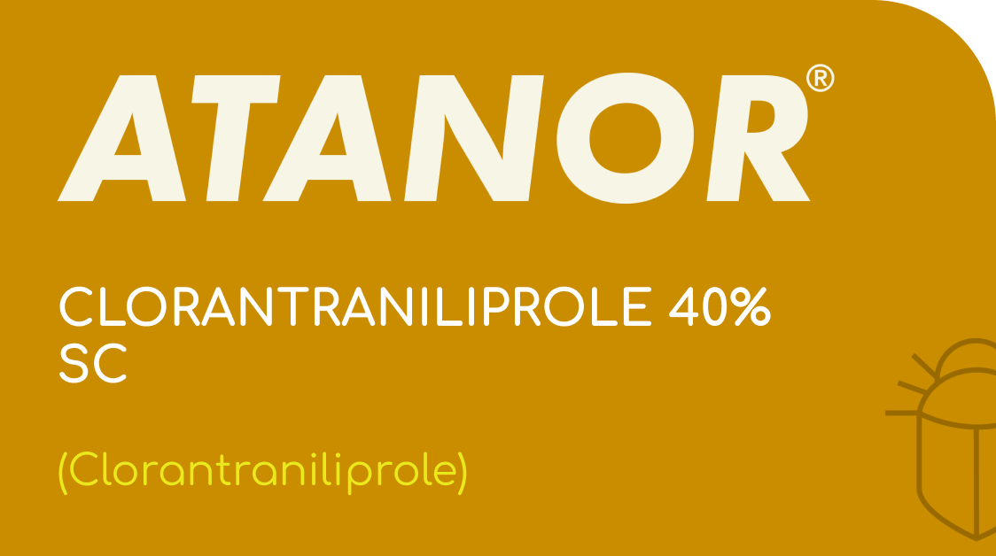 ATANOR | CLORANTRANILIPROLE | (Clorantraniliprole 40% SC)