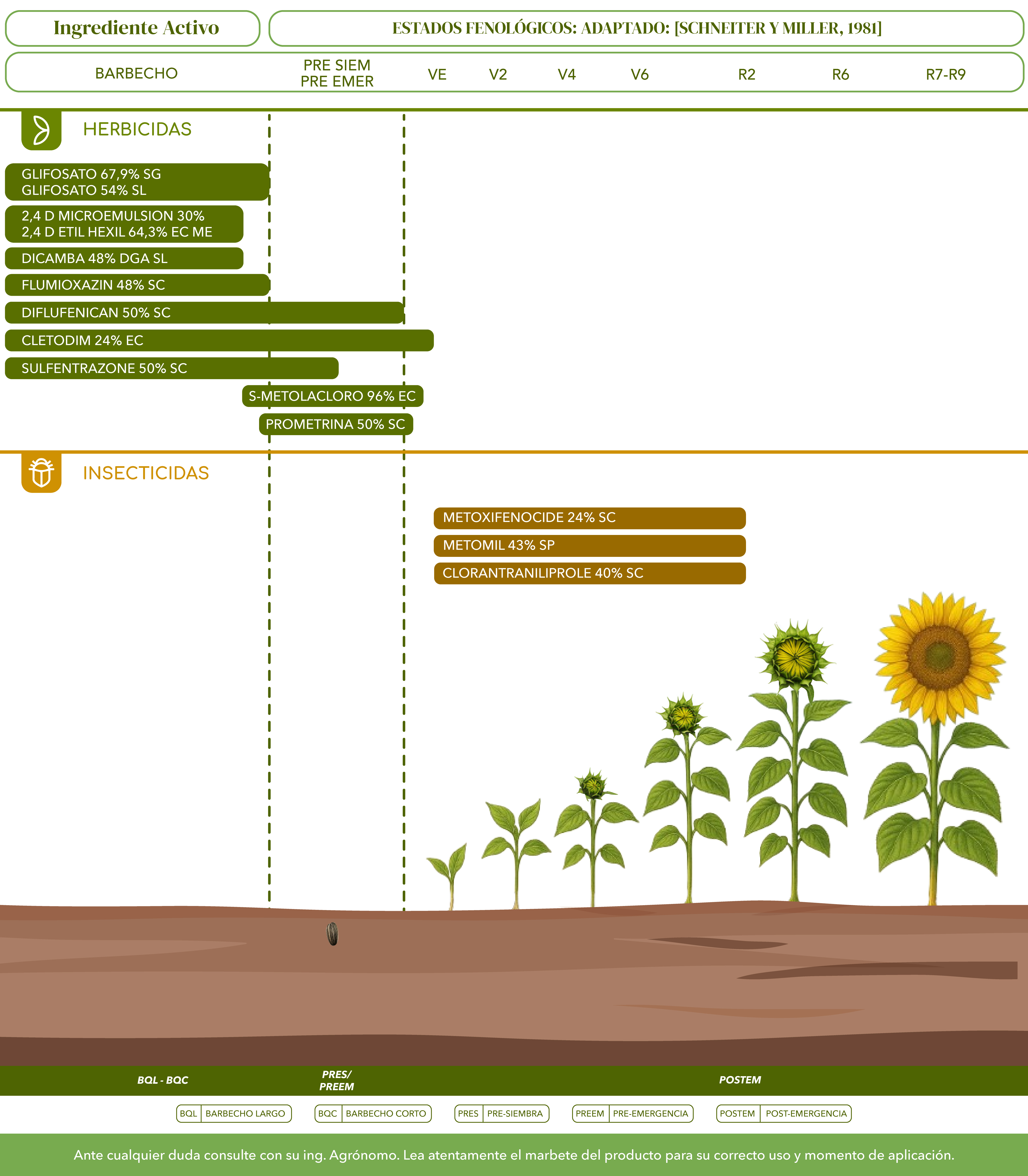 Soluciones girasol