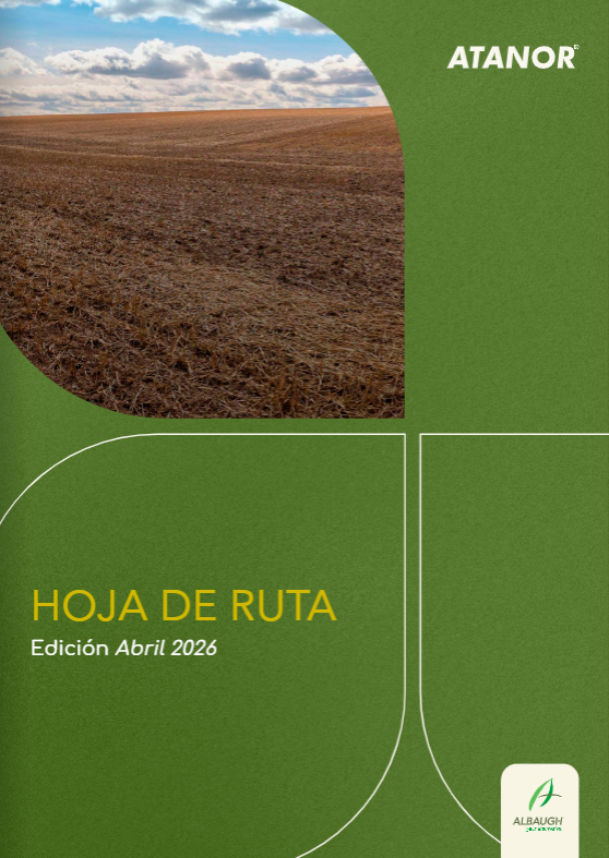 Hoja de ruta