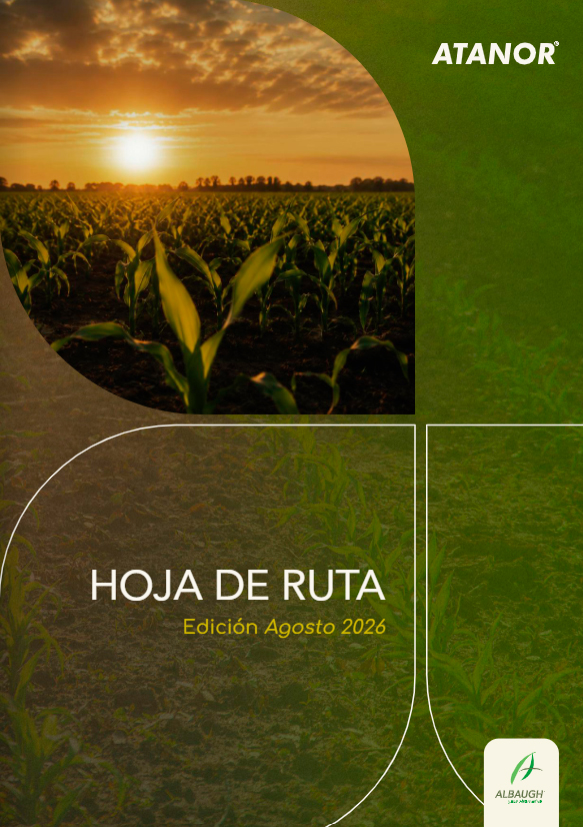 Hoja de ruta