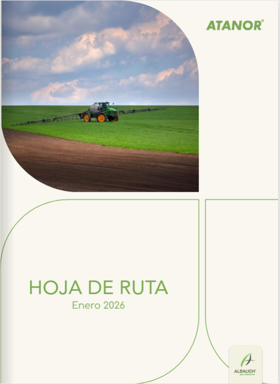 Hoja de ruta