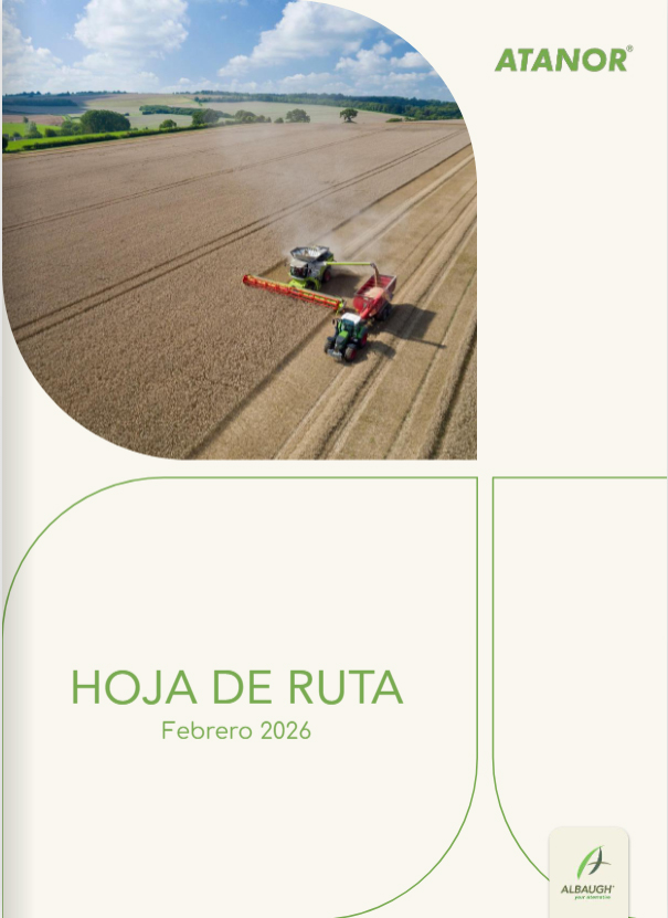 Hoja de ruta