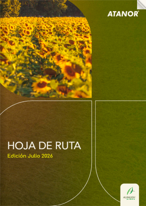 Hoja de ruta