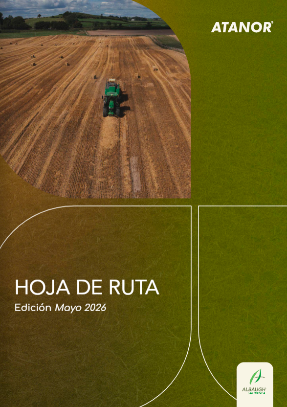 Hoja de ruta