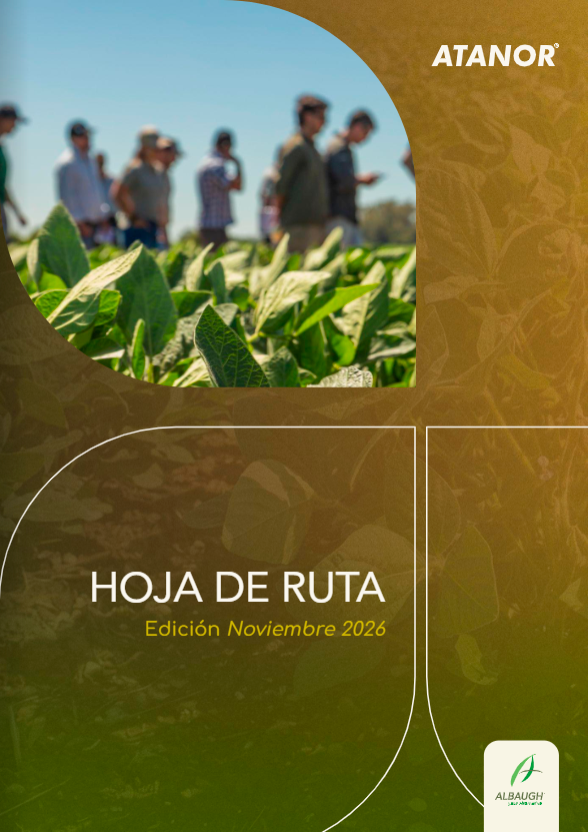 Hoja de ruta