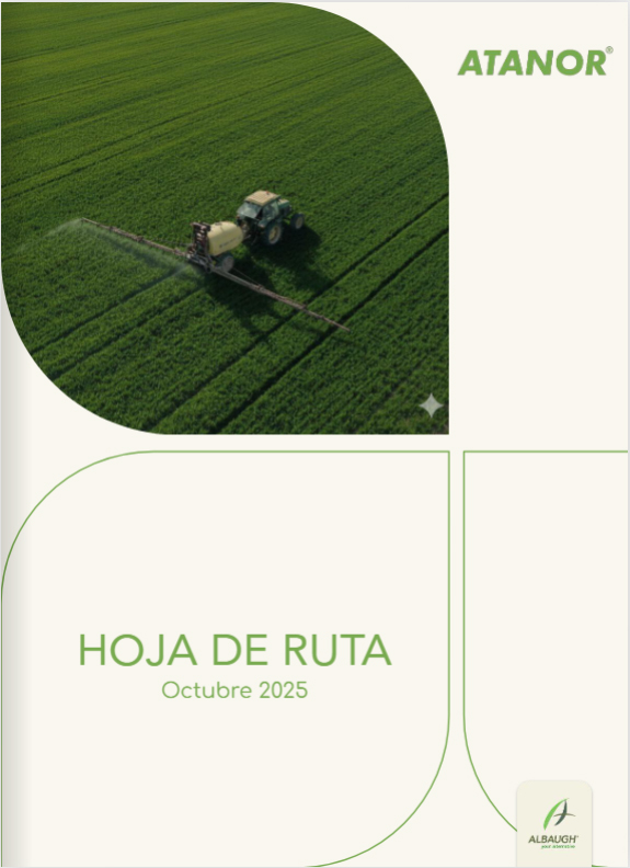 Hoja de ruta