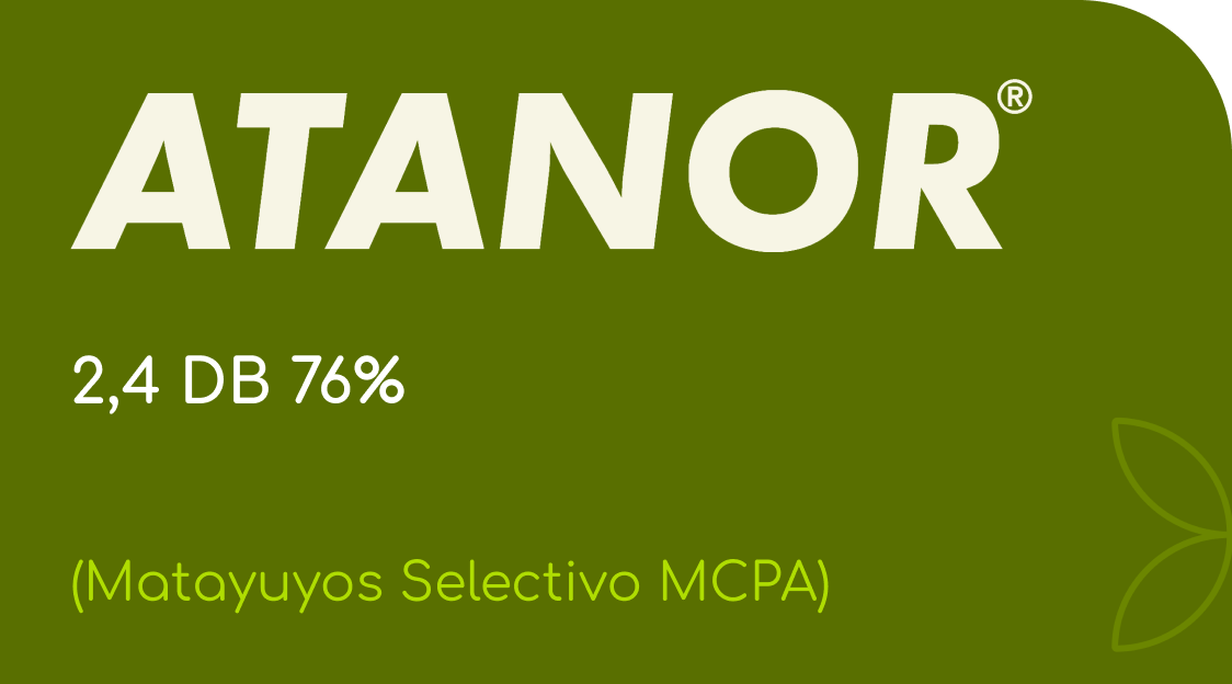 ATANOR  |  2,4 DB 76%  |  (Matayuyos Selectivo MCPA)