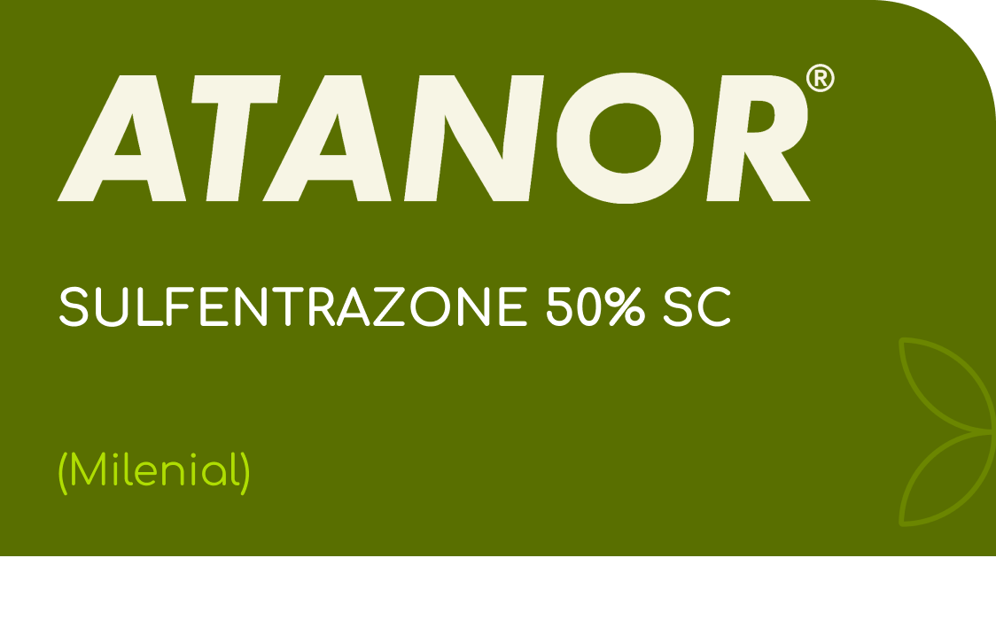 ATANOR |  SULFENTRAZONE 50% SC  | (Milenial SC)