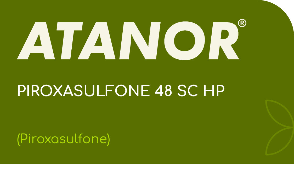 ATANOR | PIROXASULFONE 48 SC HP | (Piroxasulfone)