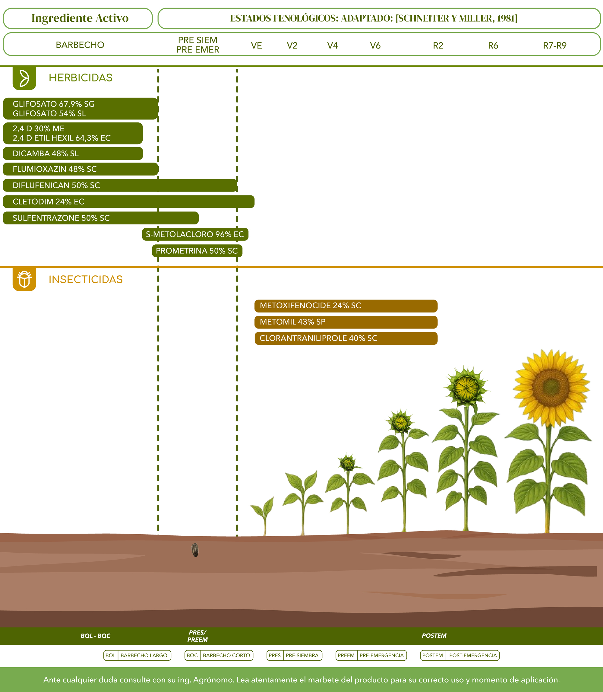 Soluciones girasol
