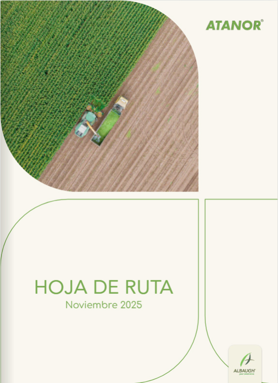 Hoja de ruta