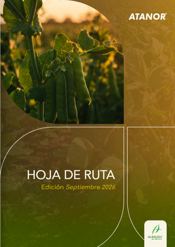 Hoja de ruta