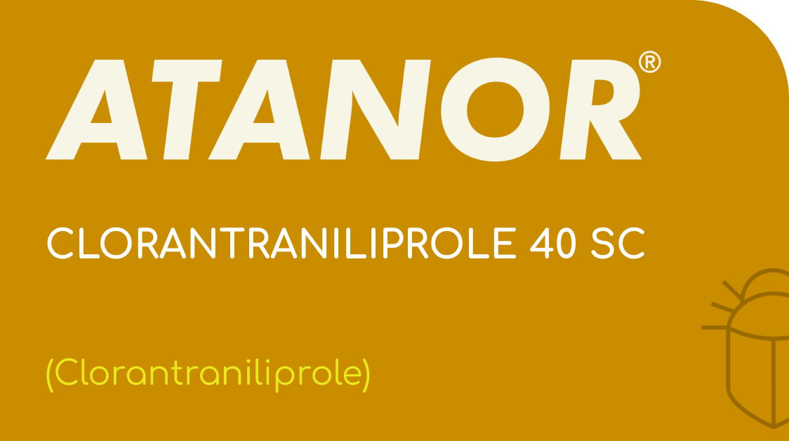 ATANOR | CLORANTRANILIPROLE | (Clorantraniliprole 40 SC)