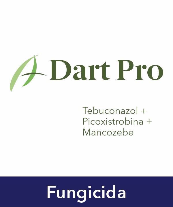 Dart Pro