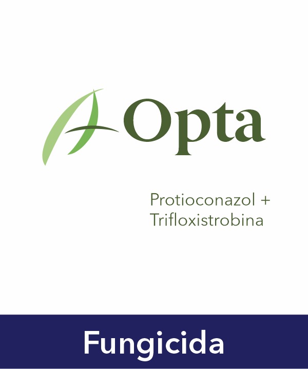 Opta