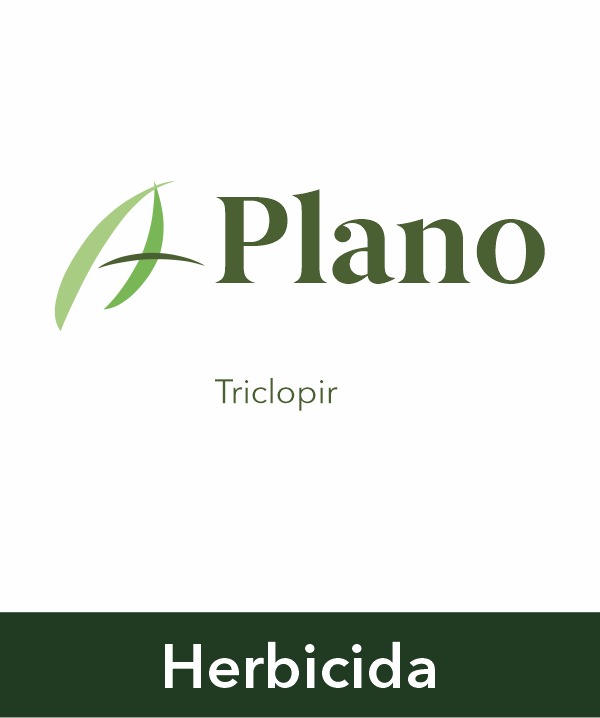 Plano