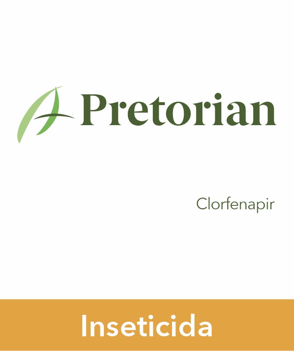 Pretorian
