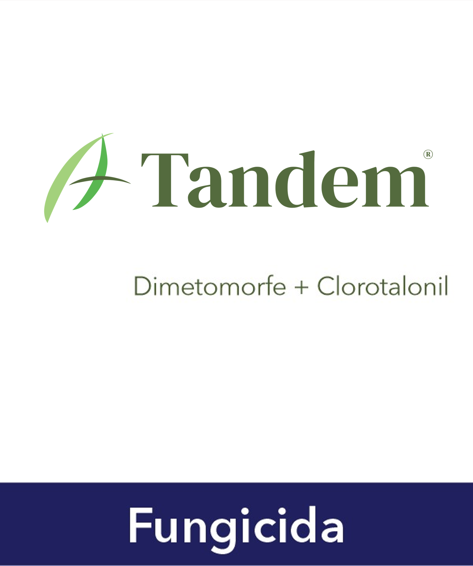 Tandem