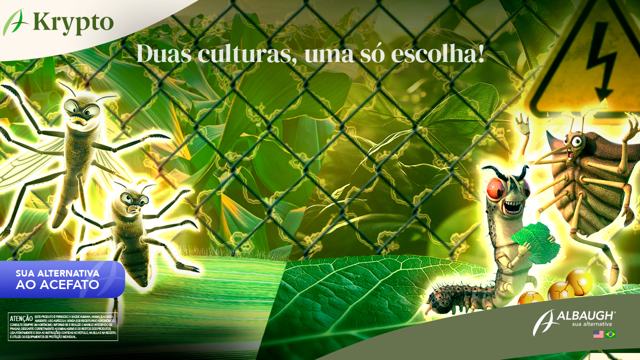 Krypto