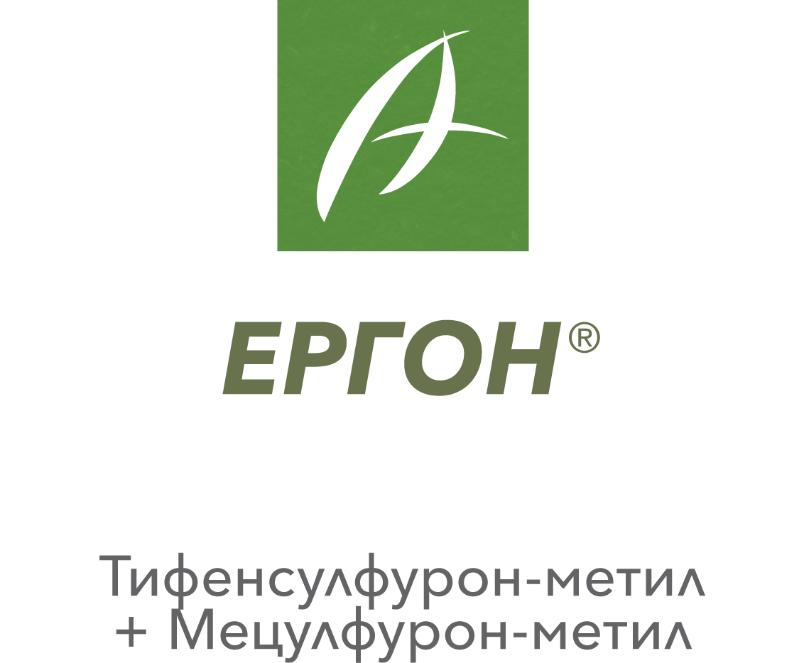 ЕРГОН®