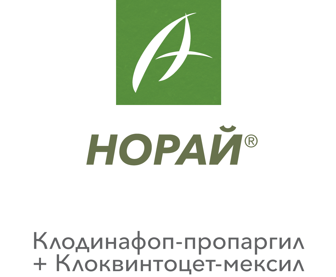 НОРАЙ®