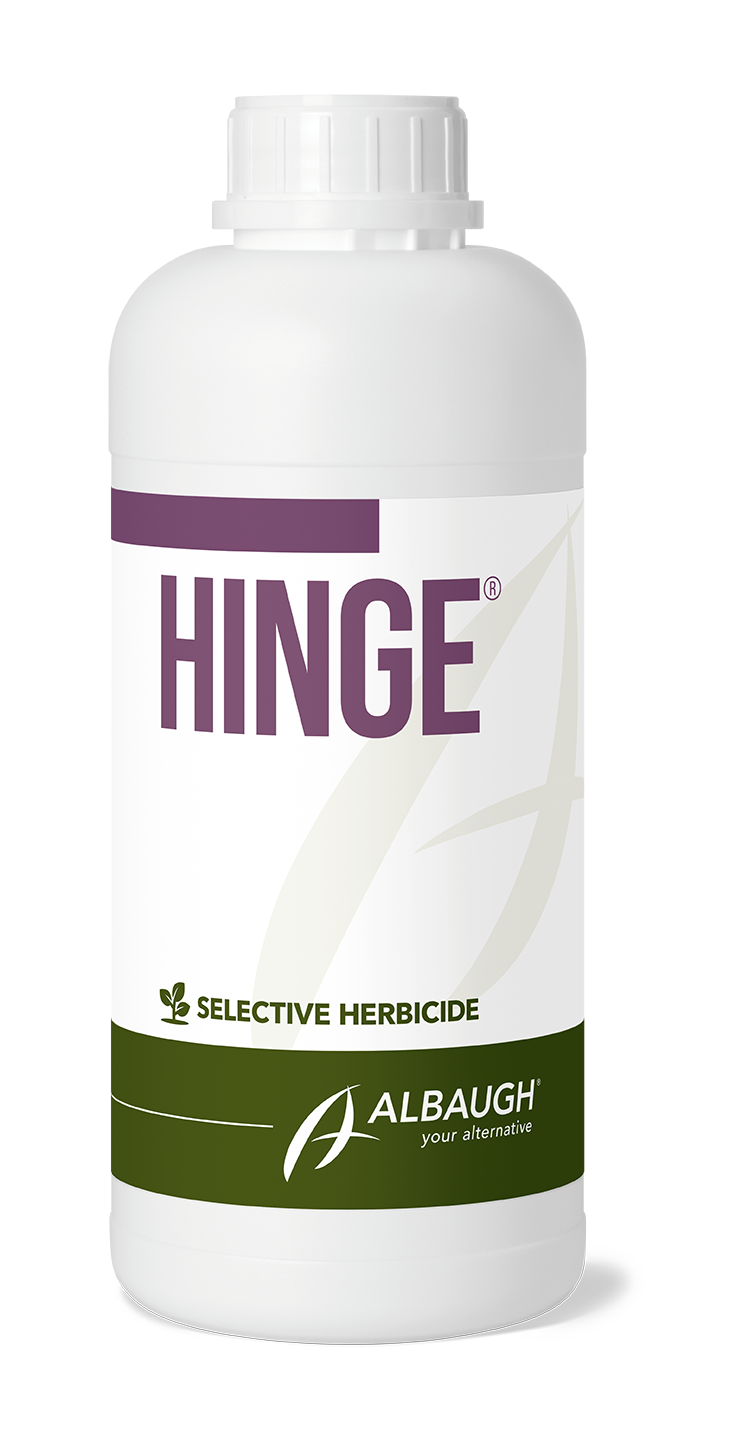 Hinge®