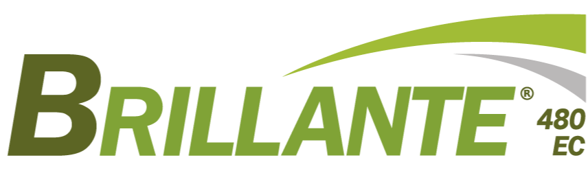 Brillante 480 EC