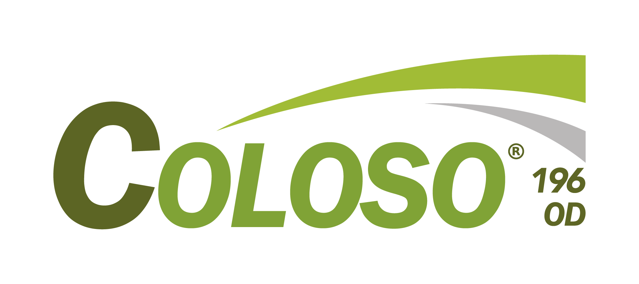 COLOSO 196 OD