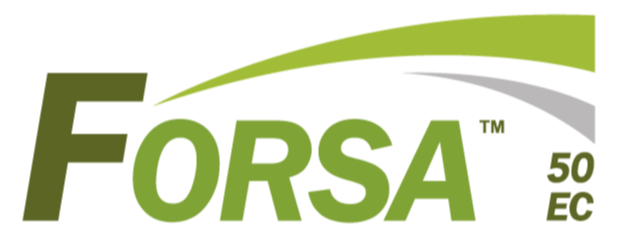 FORSA® 50 EC