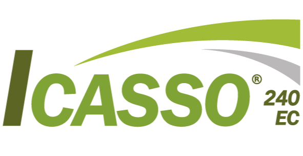 ICASSO® 240 EC