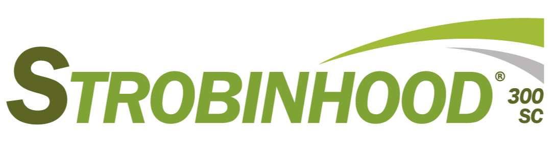 Strobinhood 300 SC