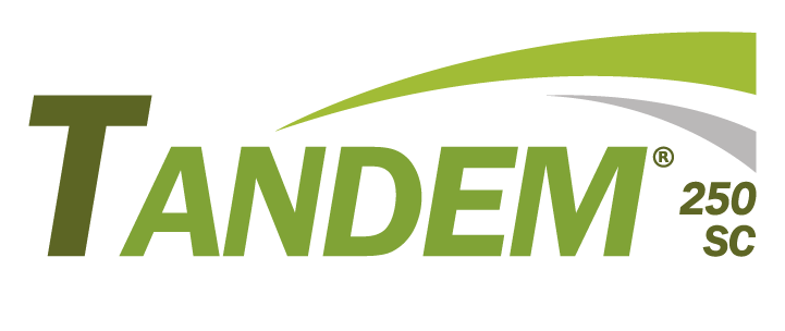 TANDEM® 250 SC