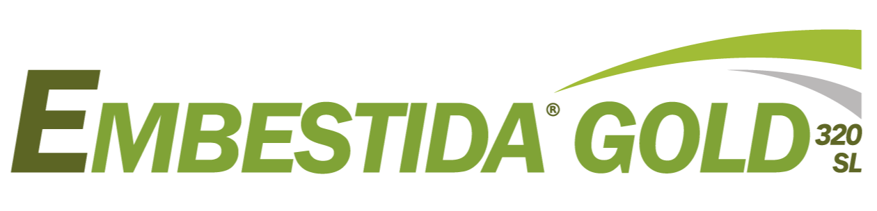 Embestida Gold 320 SL