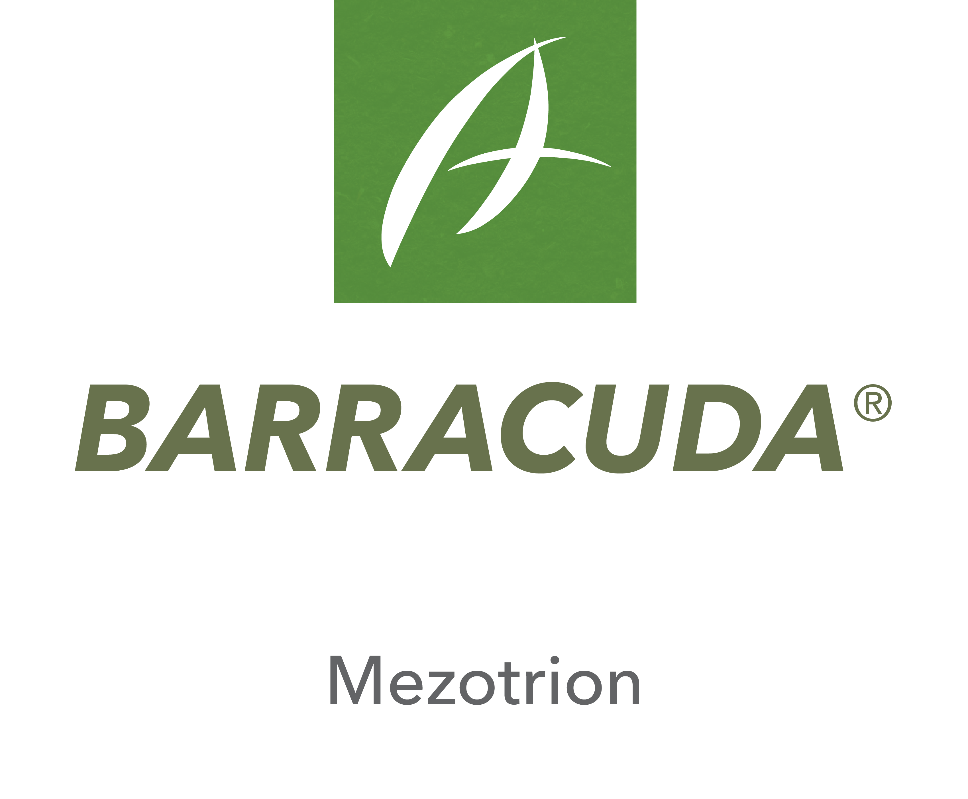 Barracuda®