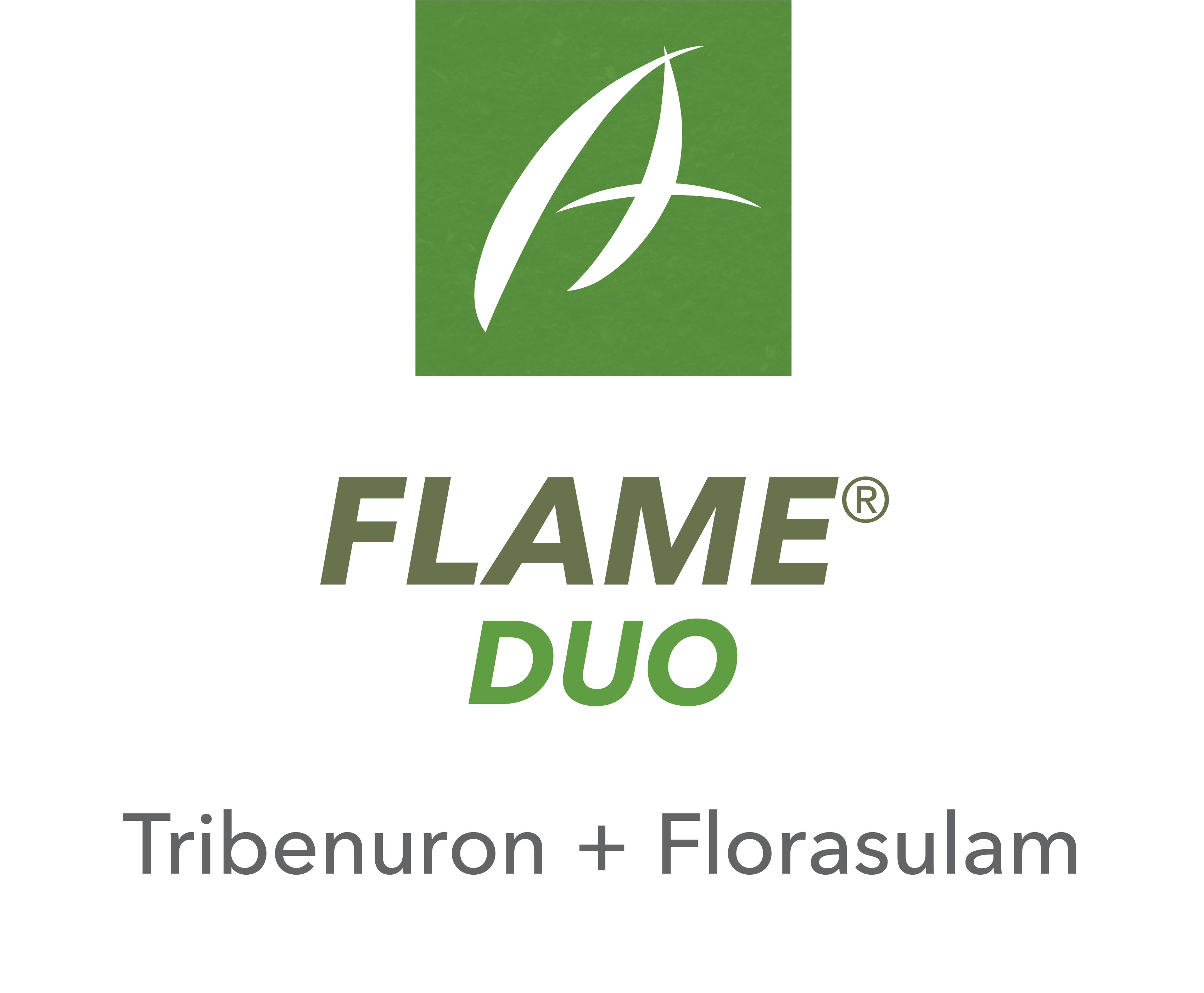 Flame® Duo