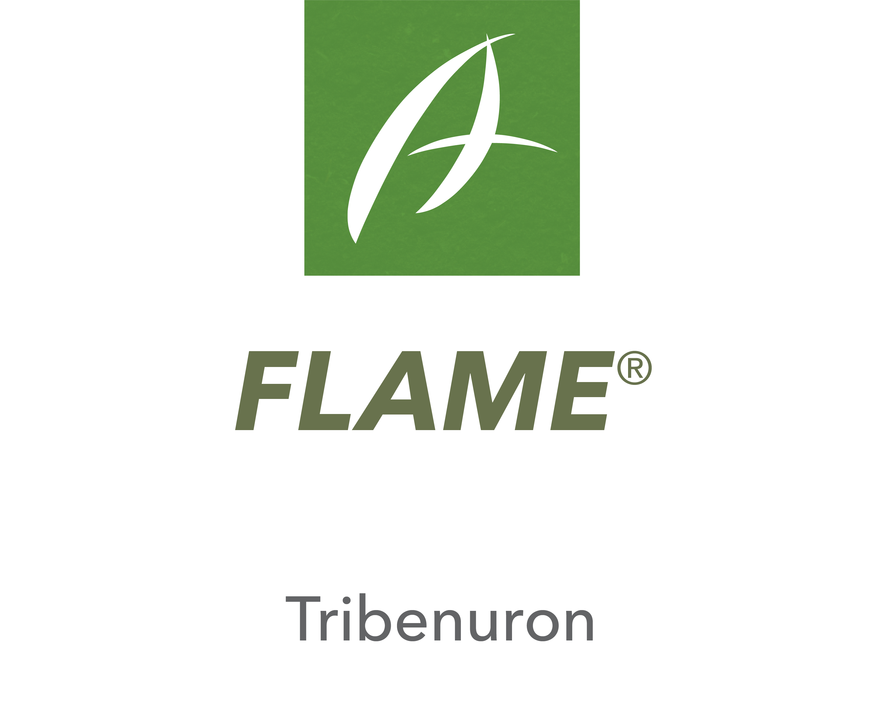 Flame®