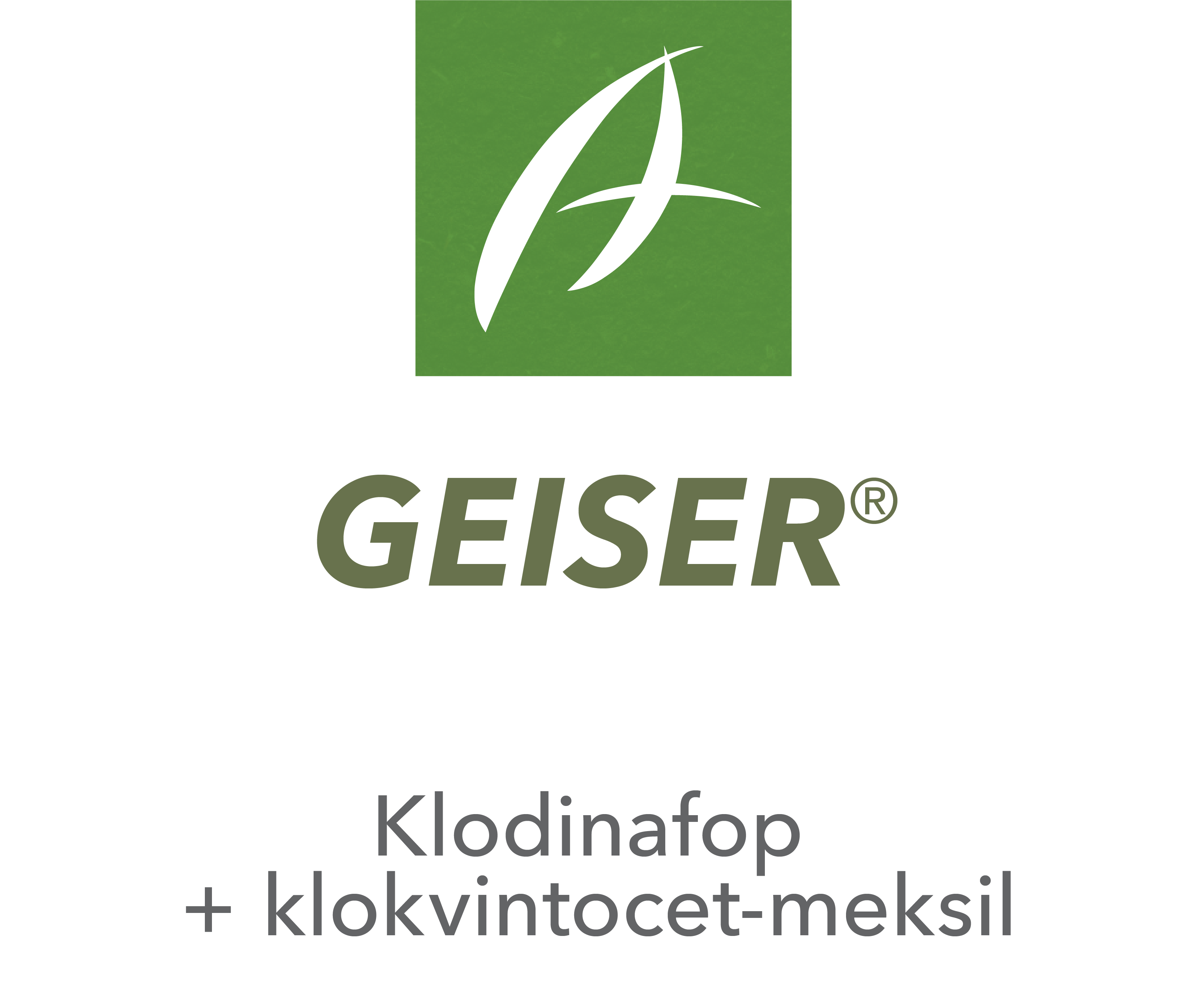 Geiser™