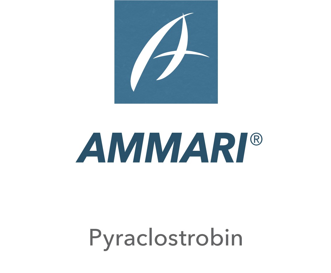 Ammari®