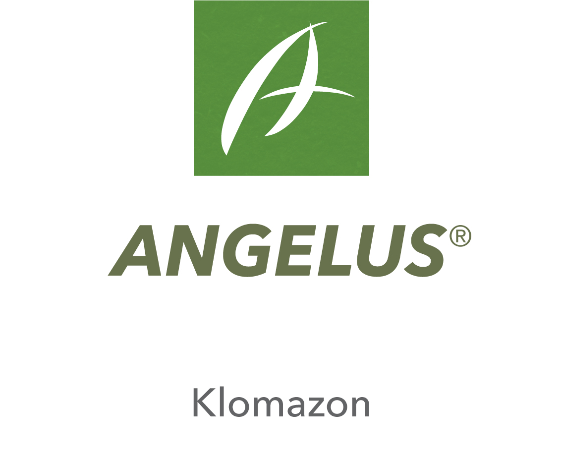 Angelus