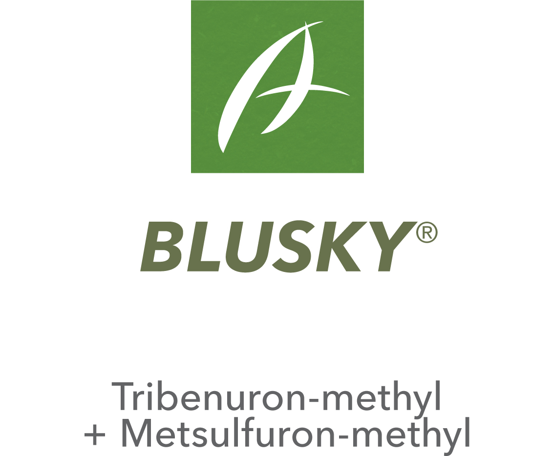Blusky