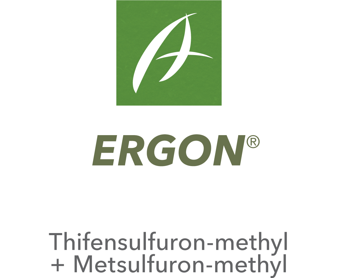 Ergon®