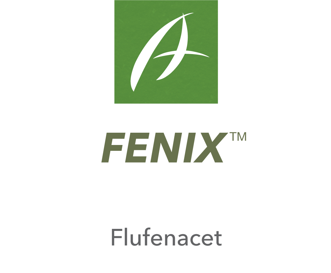 Fenix™