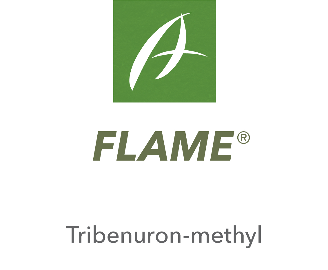 Flame®