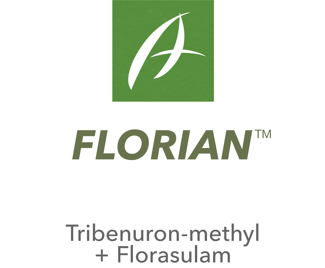 Florian
