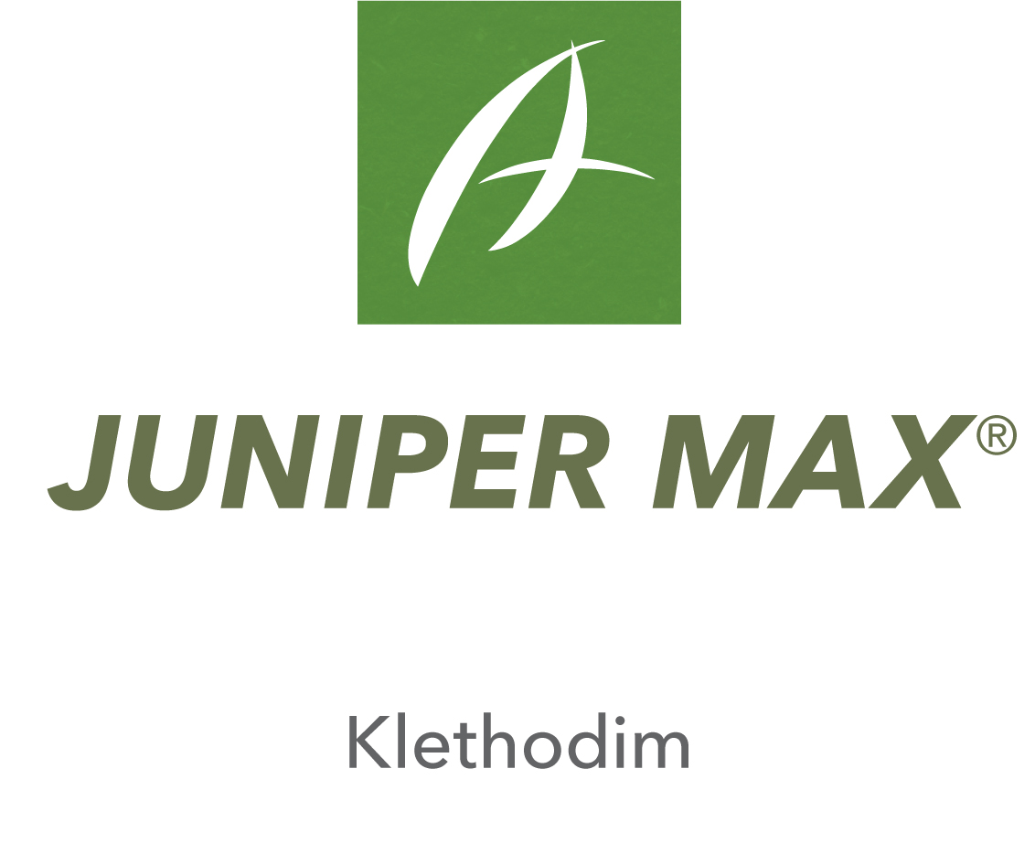 Juniper Max®