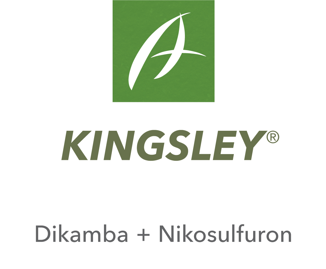 Kingsley®