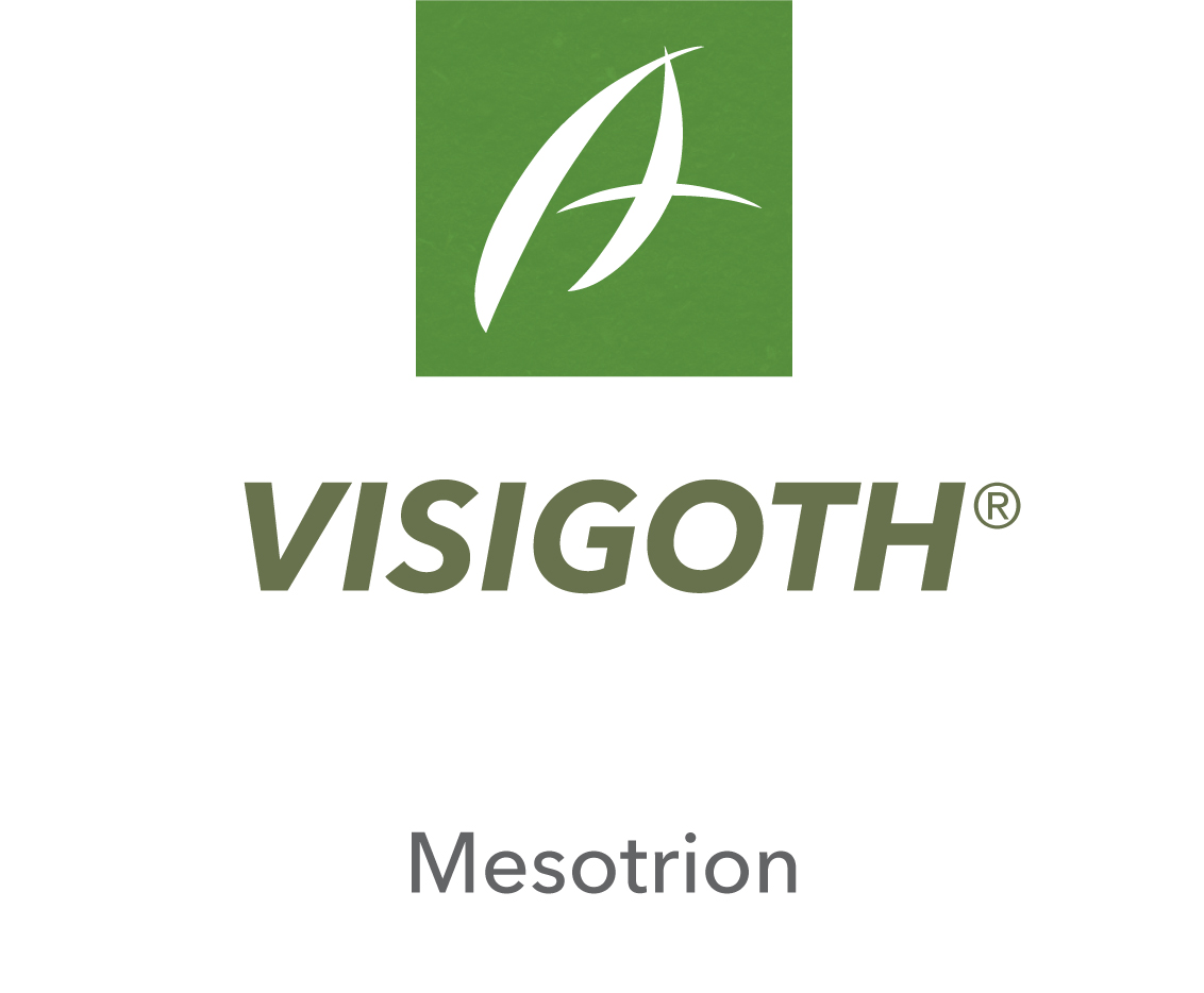 Visigoth®