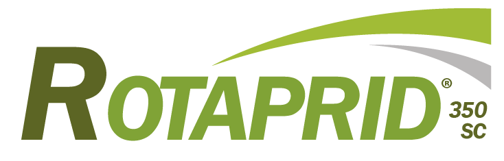 ROTAPRID®