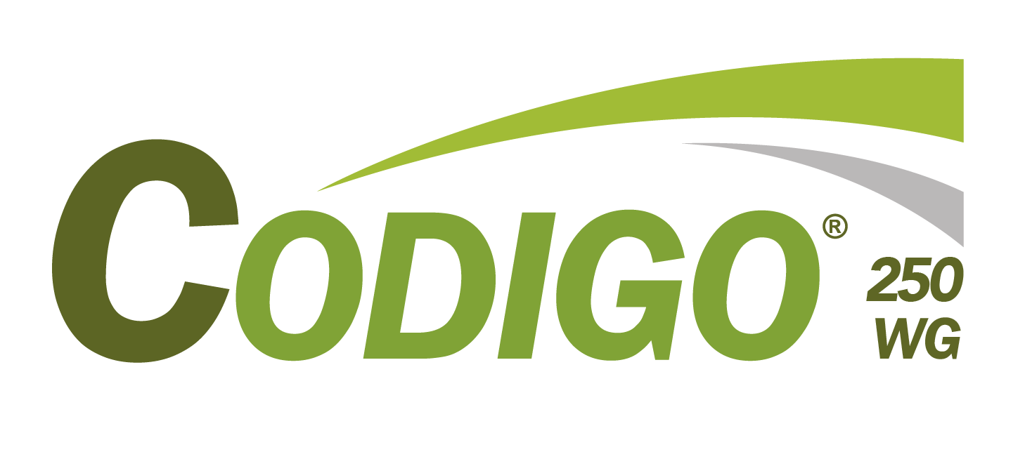 CODIGO®