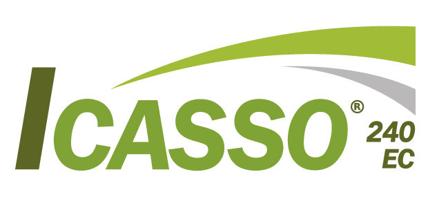 ICASSO®